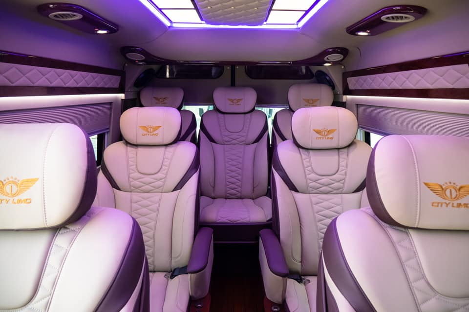 vip limousine